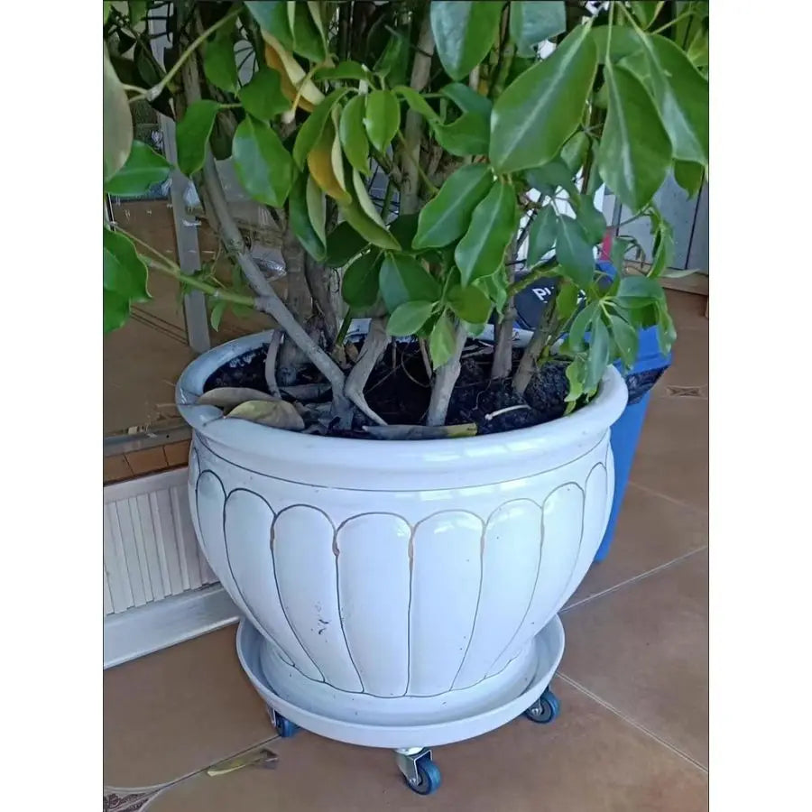 Planter Caddy with Wheels Extra Large Heavy Duty