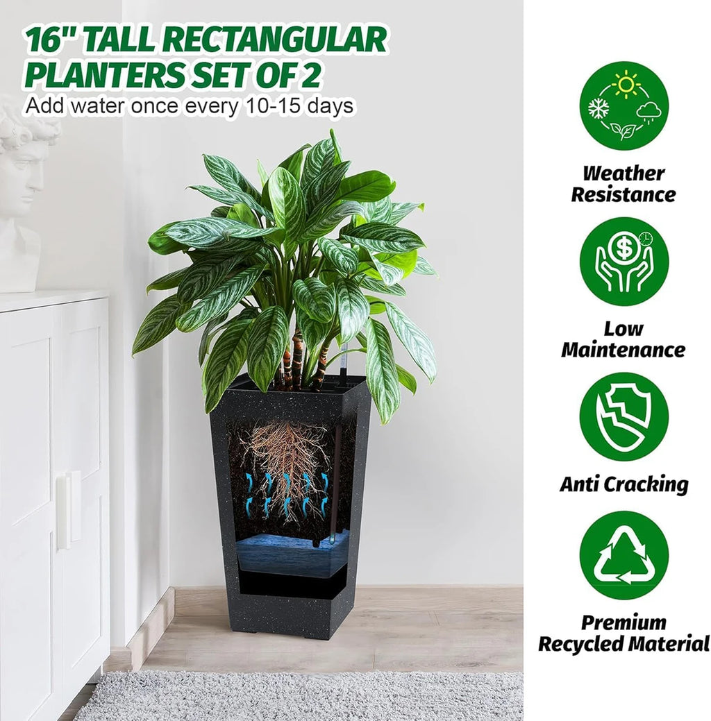 Rectangular Planters with Drainage, Set of 2